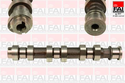 Camshaft FAI AutoParts C318