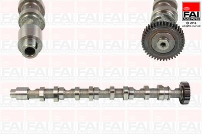 Camshaft FAI AutoParts C348