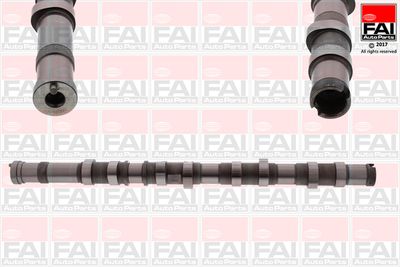 Camshaft FAI AutoParts C371
