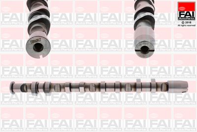 Camshaft FAI AutoParts C380