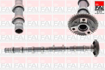 Camshaft FAI AutoParts C392