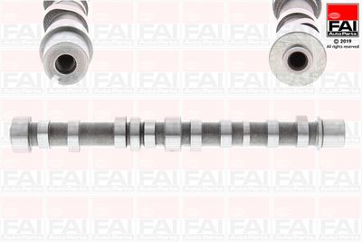 Camshaft FAI AutoParts C405