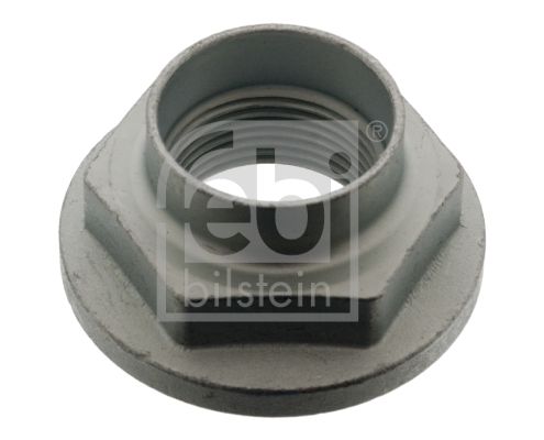 FEBI BILSTEIN 04041 Nut, kingpin
