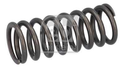 Valve Spring FEBI BILSTEIN 188164