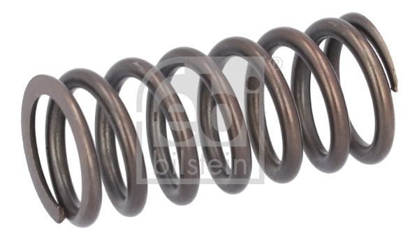 FEBI BILSTEIN 188166 Valve Spring