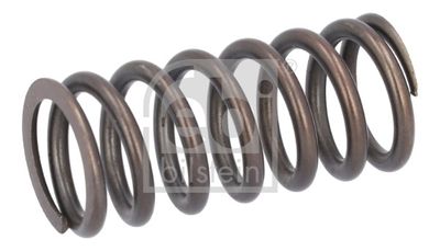 Valve Spring FEBI BILSTEIN 188166