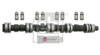 Camshaft Kit FEBI BILSTEIN 23994