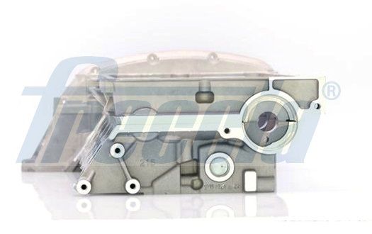 FRECCIA CH17-1011 Cylinder Head