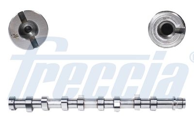 Camshaft FRECCIA CM05-2144