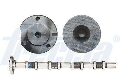 Camshaft FRECCIA CM05-2169
