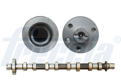 Camshaft FRECCIA CM05-2194