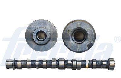 Camshaft FRECCIA CM05-2229