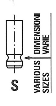FRECCIA R3743/SCR Intake Valve