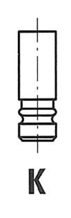 Intake Valve FRECCIA R6300/BMCR