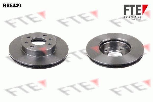 FTE BS5449 Brake Disc