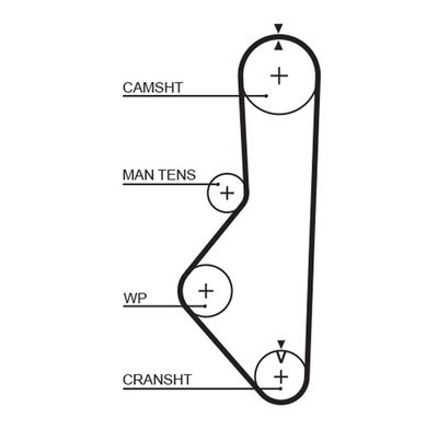 Timing Belt GATES 5085