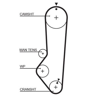 Timing Belt GATES 5224XS