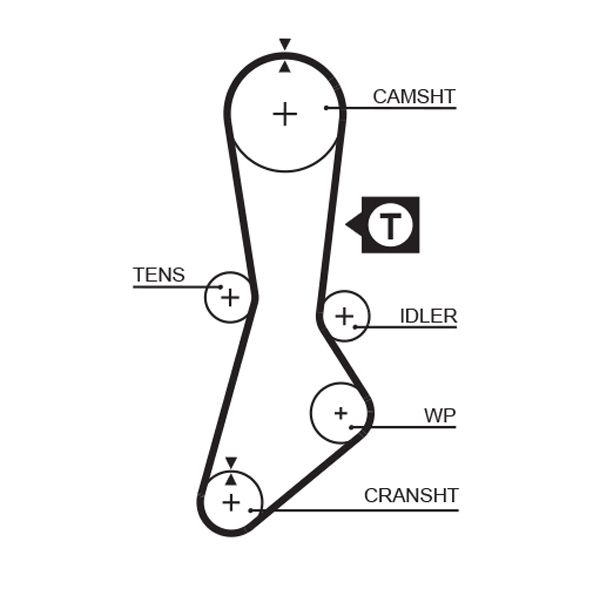 GATES 5264XS Timing Belt