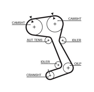 Timing Belt GATES 5364XS