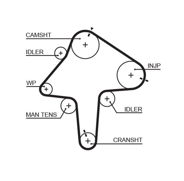 GATES 5482XS Timing Belt