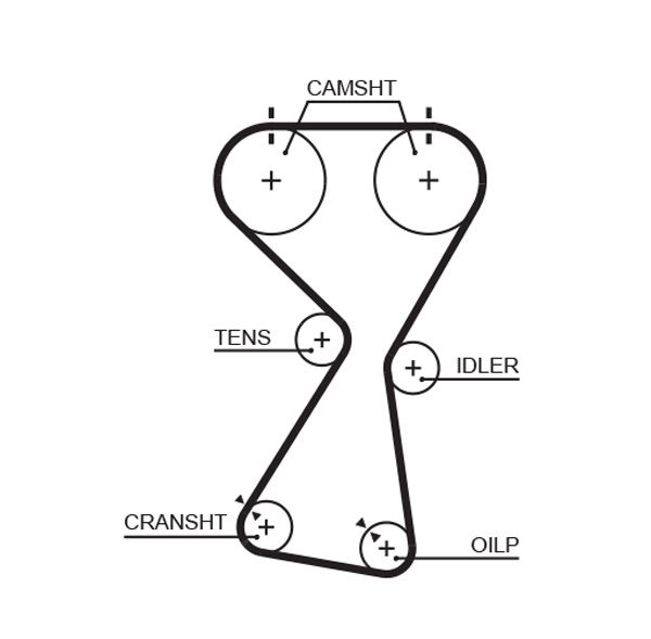 GATES 5534XS Timing Belt