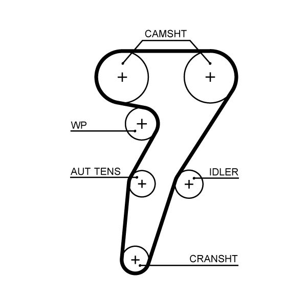 GATES 5653XS Timing Belt