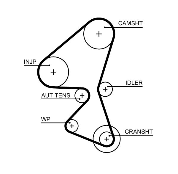 GATES 5657XS Timing Belt