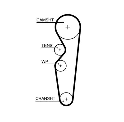 Timing Belt GATES 5665XS