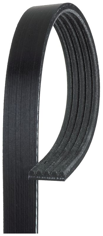 GATES 5PK1975 V-Ribbed Belt