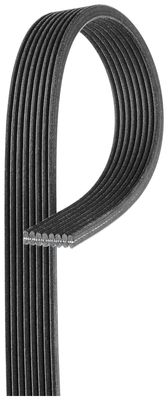 V-Ribbed Belt GATES 8DPK1445