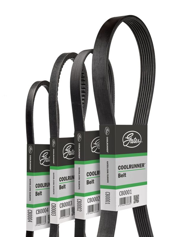GATES CB0053 V-Belt