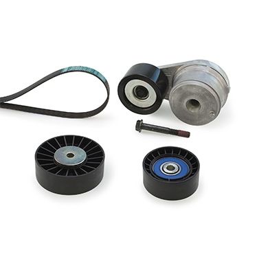 GATES K028PK1795HD V-Ribbed Belt Set