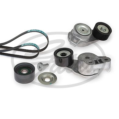 GATES K048PK1385HD V-Ribbed Belt Set