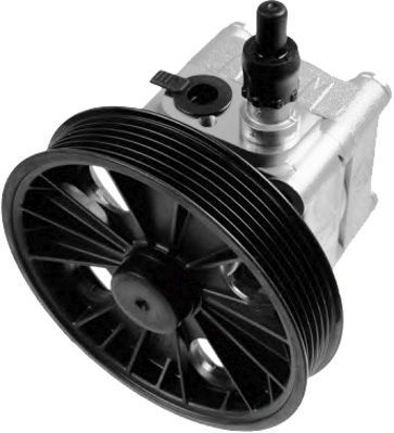 GENERAL RICAMBI PI1323 Hydraulic Pump, steering