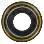 Seal Ring, valve stem GLASER P76814-00