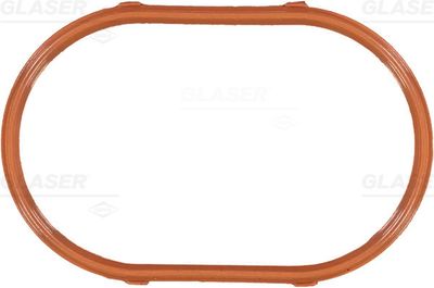 Gasket, intake manifold GLASER X56501-01