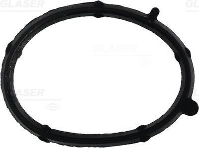 Gasket, intake manifold GLASER X85371-01