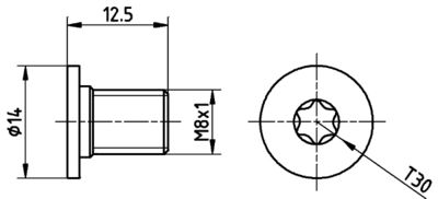 Bolt, brake disc HELLA PAGID 8DZ 355 209-021