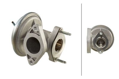 EGR Valve HELLA 6NU 010 171-241