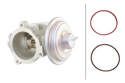 EGR Valve HELLA 6NU 010 171-701