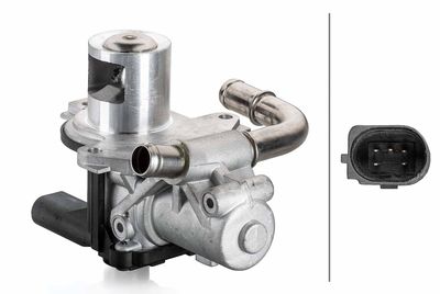 EGR Valve HELLA 6NU 014 864-081