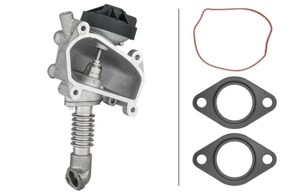 HELLA 6NU 014 864-641 EGR Valve
