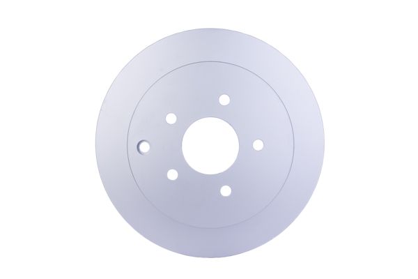 HELLA 8DD 355 118-811 Brake Disc