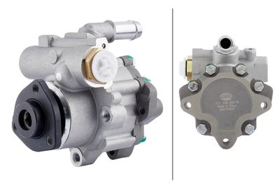 Hydraulic Pump, steering HELLA 8TL 359 000-141