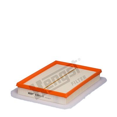 HENGST FILTER E391L01 Air Filter