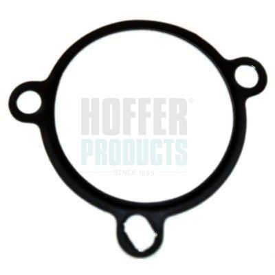 Gasket, EGR valve HOFFER 01604