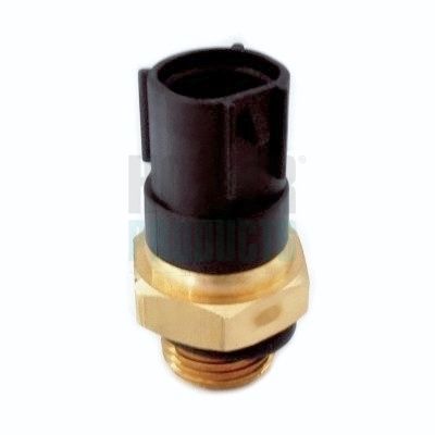 HOFFER 7472719 Temperature Switch, radiator fan