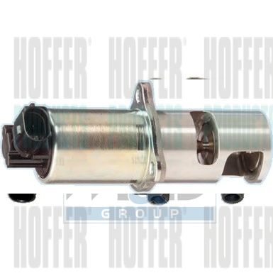 EGR Valve HOFFER 7518012R