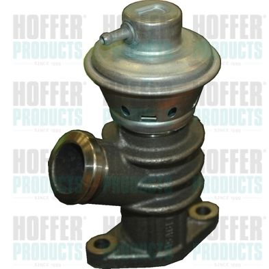 EGR Valve HOFFER 7518078