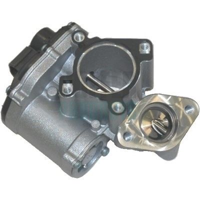EGR Valve HOFFER 7518110